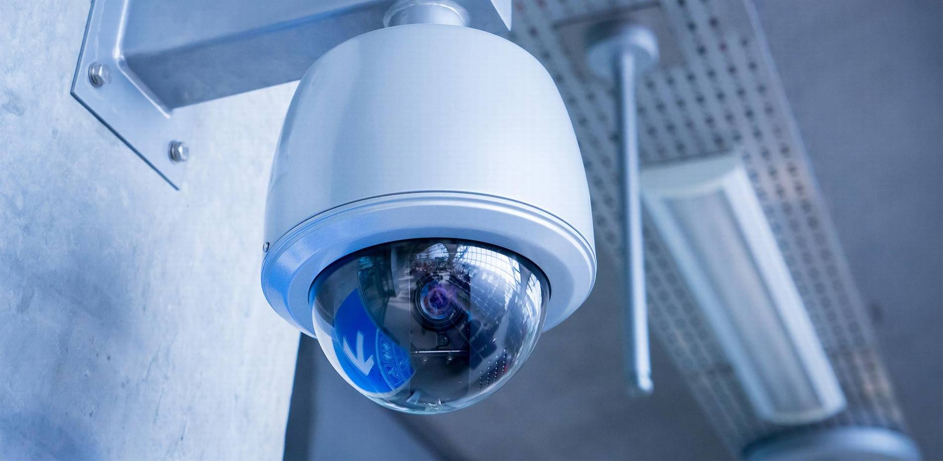 #1 Best Security Camera Company: CAT6 CAT7 CAT8 Network vs Wiring Installer Low Voltage Fiber Optic West Palm Beach